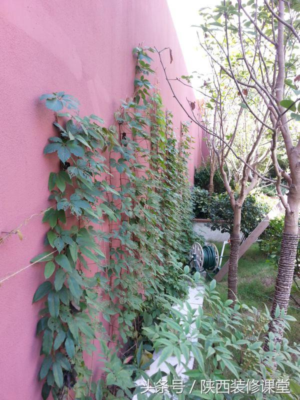 280平花园法式,我家花园的氛围感