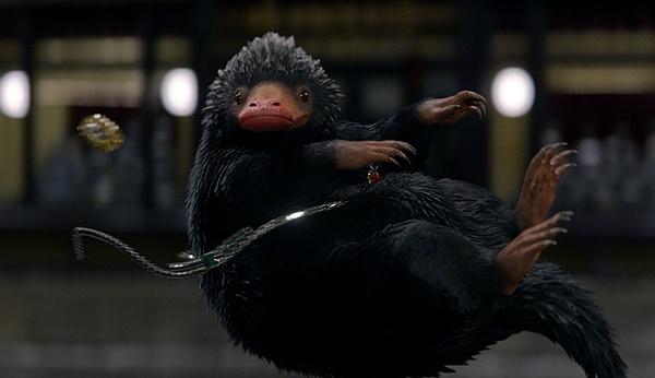 神奇动物的魔法合集,魔法世界神奇动物名单