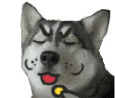 哪里代购正品化妆品最便宜,化妆品代购怎么买便宜又好看