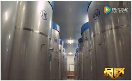 喝酵素真的有那么神奇吗,喝的酵素究竟有没有用