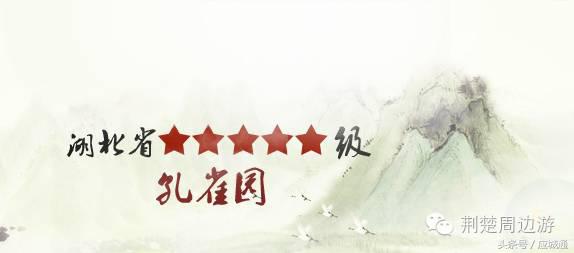 应来之城全景图片,中国湖北应城