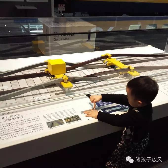 这个冬天我们一起去日本看雪,去日本看雪景哪个地方好