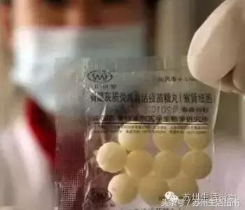 苏州还能打疫苗吗一针没打,苏州儿童医院打疫苗需要什么手续