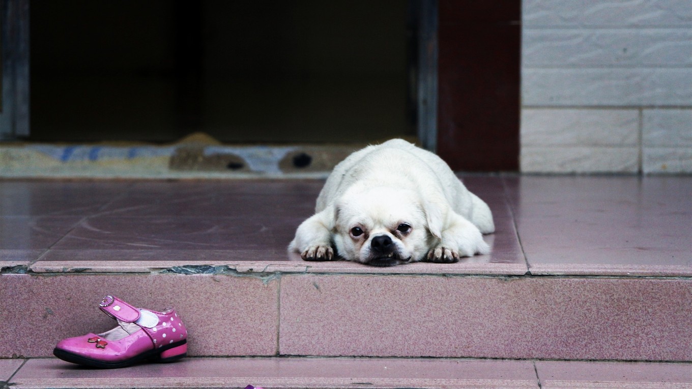说走就走的三亚行,一场说走就走的三亚之旅