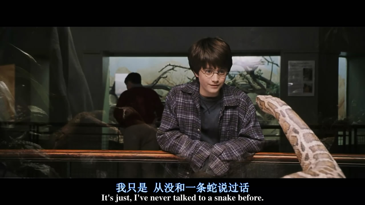 你还记得那颗干鼻屎味道的多味豆吗