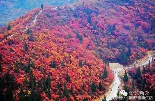 巩义吵架的视频,巩义吵架