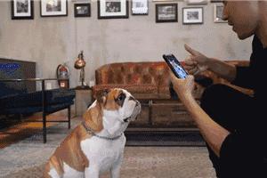 鍙互鍙樻崲logo鐨勯瀷,鏃犻檺绗﹀彿logo璺戦瀷