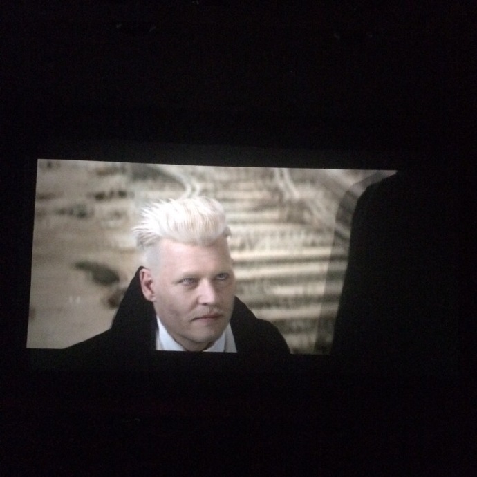 《神奇动物2》德普继续扮演格林德沃，邓布利多都想莱昂纳多演？