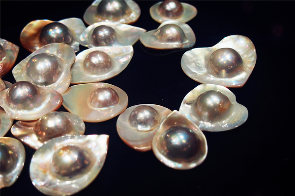 在第二个夏日赴一场海鲜的约会