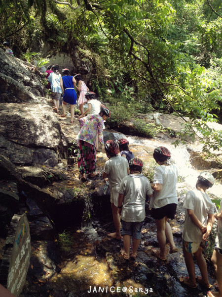 森林氧吧游玩攻略,宝界森林公园游玩攻略