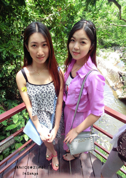 森林氧吧游玩攻略,宝界森林公园游玩攻略