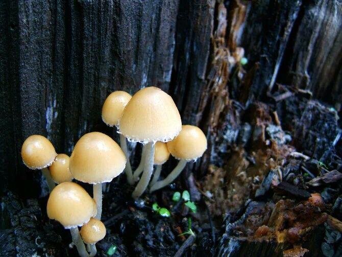 闺蜜之间怎么相处,怎么才可以对闺蜜说甜言蜜语