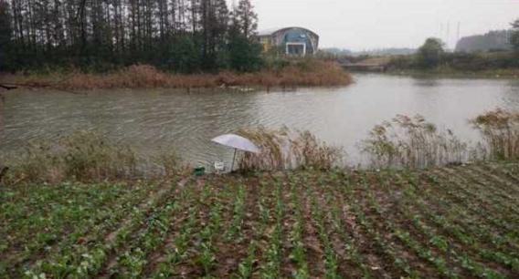 钓鱼人太牛！大风大雨中垂钓也能迎来鲤鲫大丰收