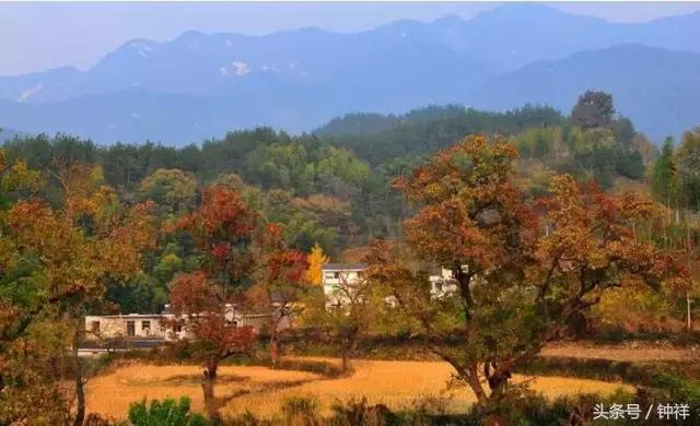 钟祥还能不能去,对不起我要离开了文章