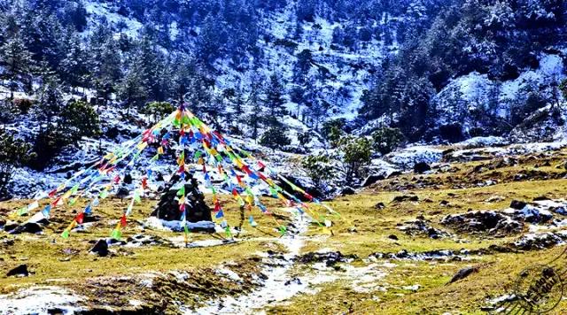 成都周边哪里好玩点的景点推荐下,成都附近免费旅游景区有哪些