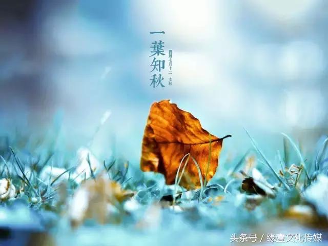 一个人开车从北京到新疆,从中国开车能到达的国家