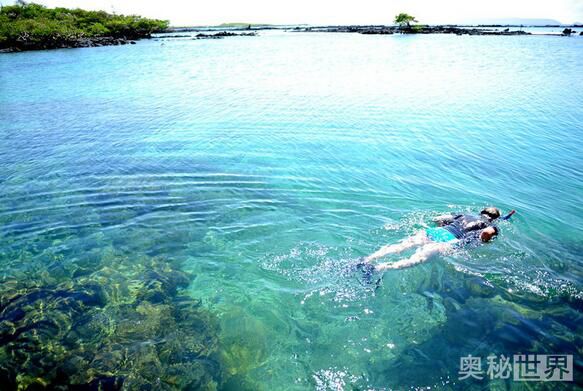 世界上最美的地方,世界上最美的地方是什么样的