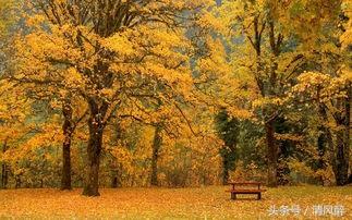 三个人友情语录短句子伤感,三个人的友情语录伤感文案