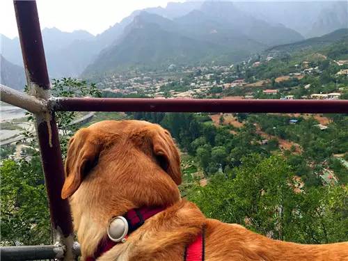 嬉水节巡游活动现场,嬉水节活动总结