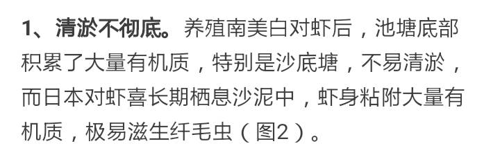 对虾纤毛虫用什么消灭最快,南美虾纤毛虫防治