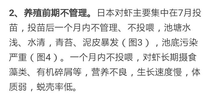 对虾纤毛虫用什么消灭最快,南美虾纤毛虫防治