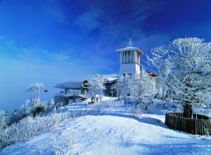 开启愉快之旅,冬天韩国自由行