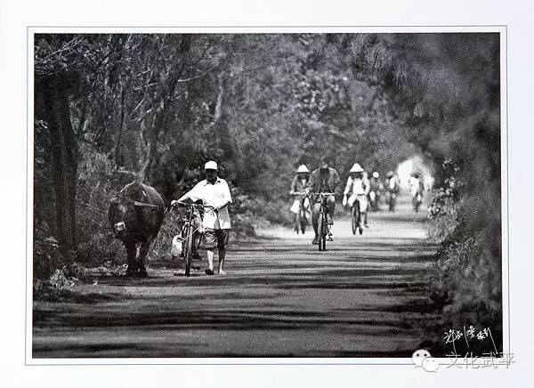 “牙人”、“相牛”——你知道这些即将失传的术语吗？