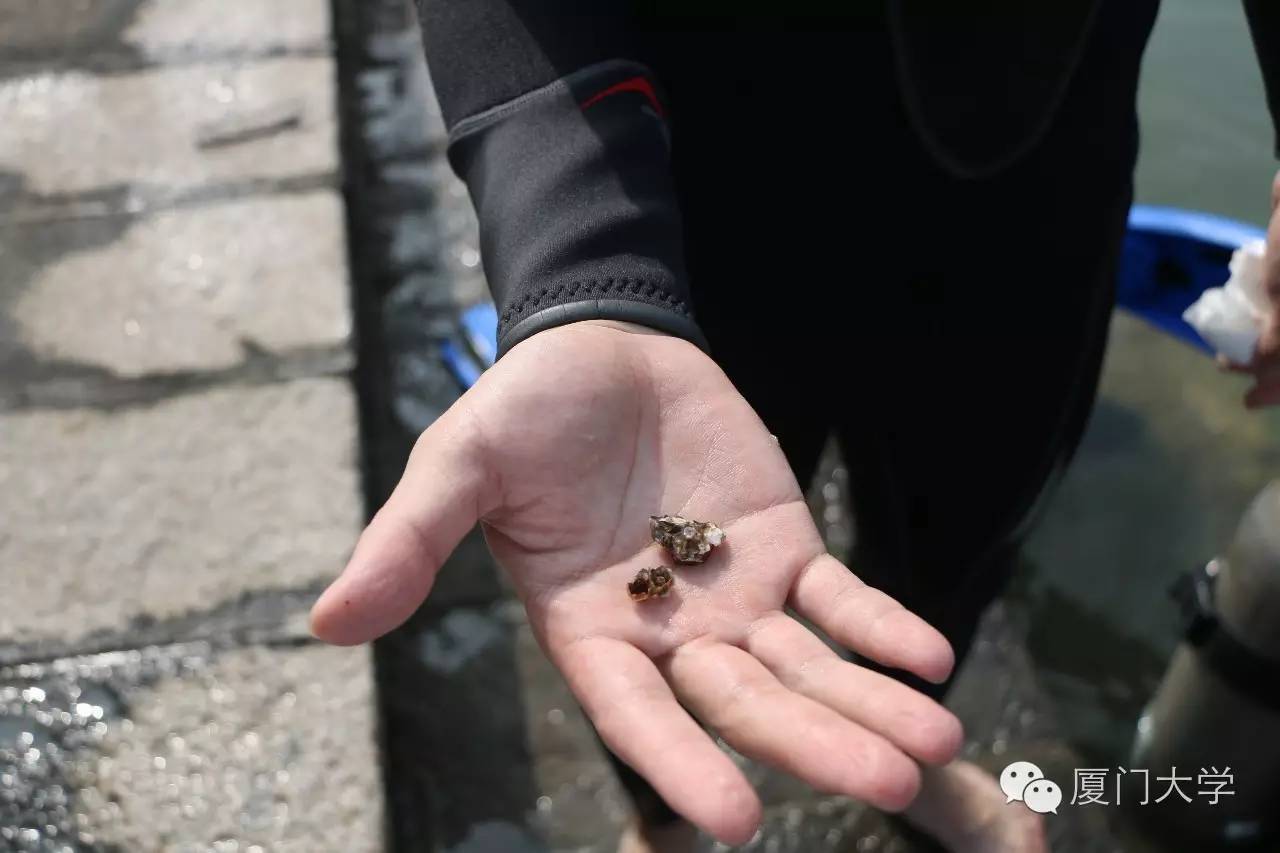 休闲体育潜水课,体育课创新课堂