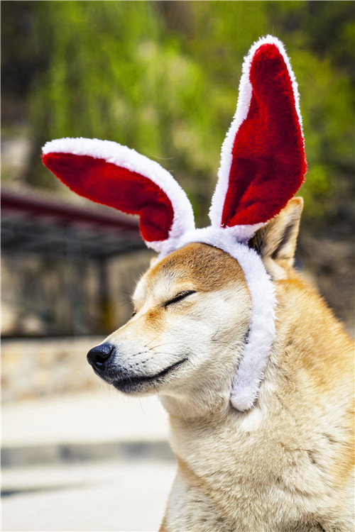 活动回顾｜欧帝亿主题巴士回顾--畅游幽谷神潭