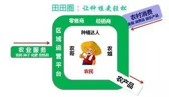 常见的电商运营类型有什么区别,常见的电商模式有哪些