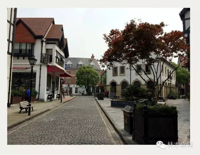 生在淮北，剩在上海