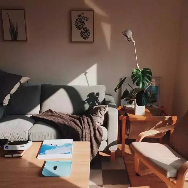 5条治疗强迫症的挂画偏方