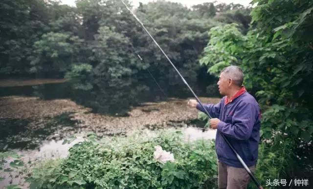 钟祥还能不能去,对不起我要离开了文章