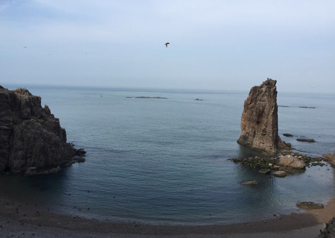 那年夏天那片海图片,那年夏天那片海
