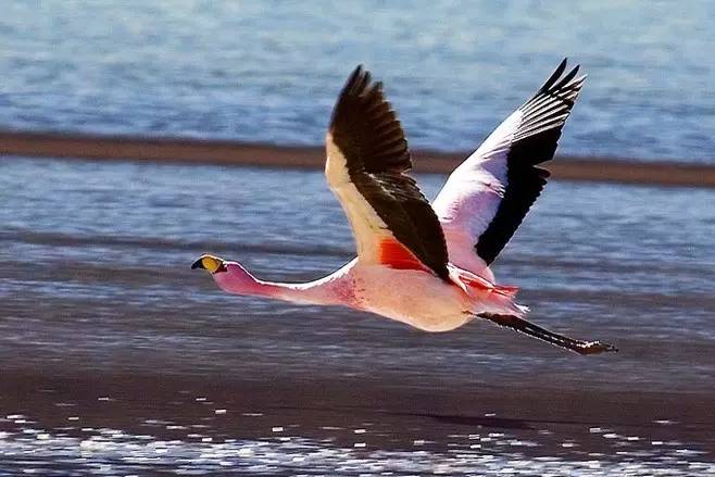 再不疯狂我们就老了下一句怎么说,完整版的再不疯狂就老了