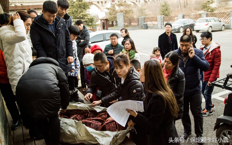 保定轩宇鑫悦奥迪竞秀区,高档红酒品鉴欣赏