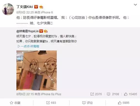 丁文琪是怎样的女人,丁文琪给林宥嘉打分