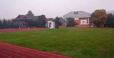 成都足球野球场推荐,成都免费足球场推荐