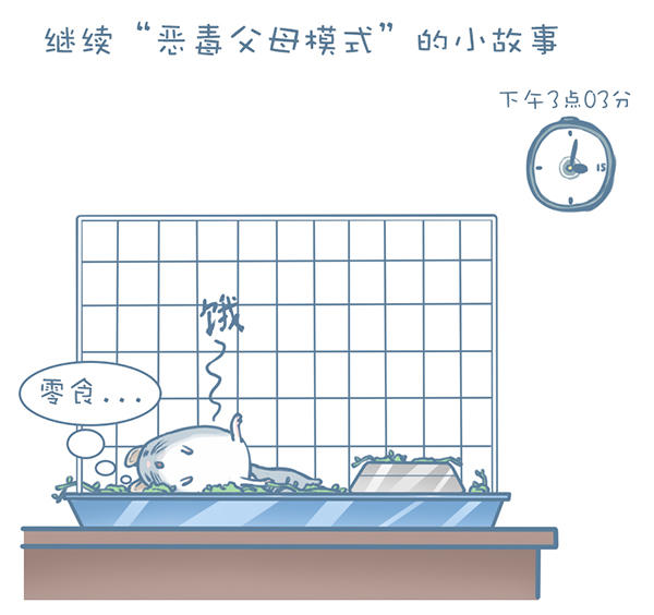 龙猫怎么才能不掉毛,龙猫挑食不吃主粮怎么办