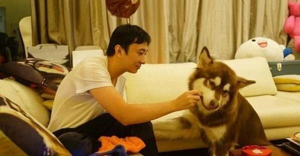 王思聪给王可可买的狗链挑衅了整个娱乐圈吴亦凡权志龙躺枪