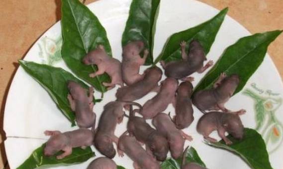 三明这些美食虽然有点吓人但更美味！