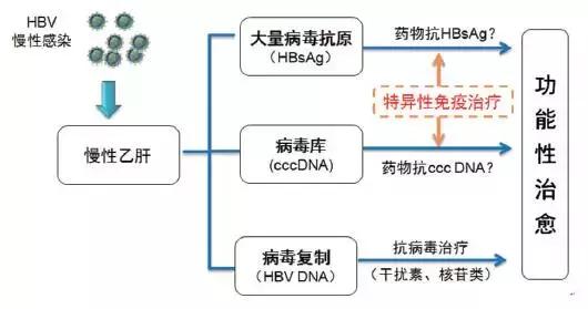 慢性乙型肝炎的治疗进展文献综述,慢性乙型肝炎该怎么治疗