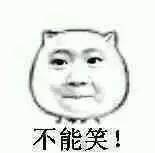 呼叫罗晋唐嫣：买车后需要车险吗？7个萝卜让天下没有难买的车险