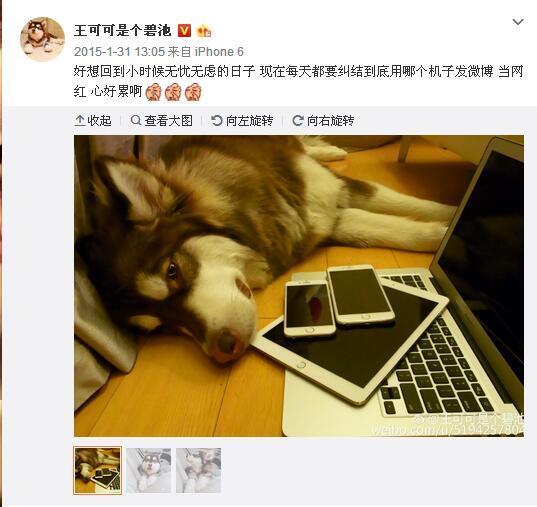 王思聪给王可可买的狗链挑衅了整个娱乐圈吴亦凡权志龙躺枪