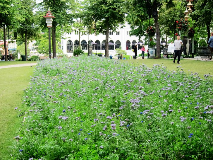 丹麦童话乐园视频,丹麦童话世界旅游