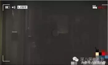 细节能看出来罗晋对唐嫣是真爱啊,罗晋对唐嫣的一个举动超暖心