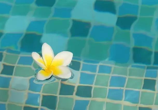 杨幂刘恺威最新一期从酒店出来,杨幂刘恺威法国巴黎定情之作