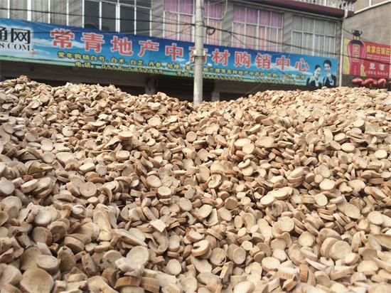 近日亳州白芍行情,亳州白芍今日行情