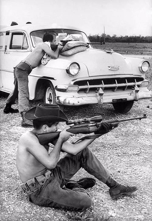 飞蛾事件,飞蛾扑火事情