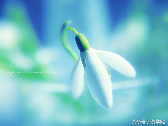 摄影答疑,解答摄影问题